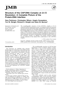 Structure of the CAP-DNA Complex at 2.5 Å Resolution: A