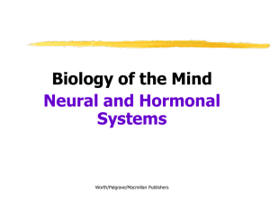 Biology of the Mind Neural and Hormonal Systems