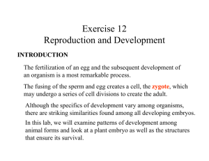 Exercise 12 Reproduction and Development