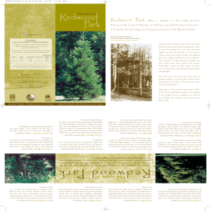 Redwood Brochure 4-col new.qxd
