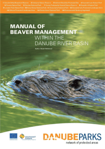 Manual of beaver management within the