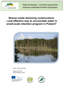 Beaver-made damming constructions - cost