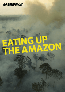Eating Up The Amazon