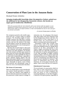 Conservation of Plant Lore in the Amazon Basin - Arnoldia