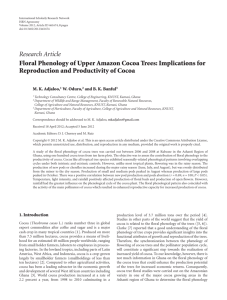 Research Article Floral Phenology of Upper Amazon Cocoa Trees