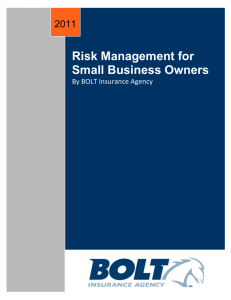 Risk Management for Small Business Owners