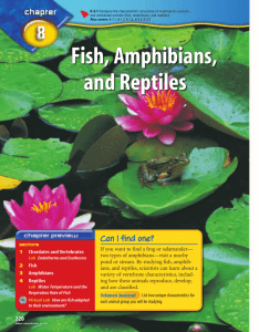 Chapter 8: Fish, Amphibians, and Reptiles