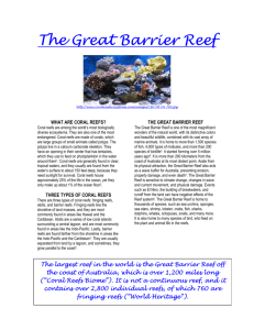 The Great Barrier Reef