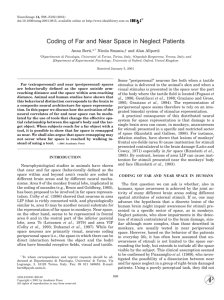 Berti (2001) Coding of far and near space in neglect patients