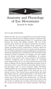 Anatomy and Physiology of Eye Movements