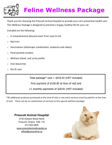 Feline Wellness - Prescott Animal Hospital