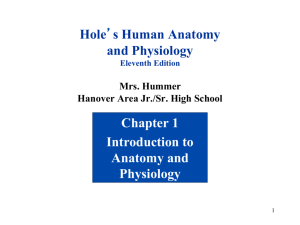 Hole's Human Anatomy and Physiology Chapter 1 Introduction to