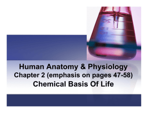 Human Anatomy & Physiology Chemical Basis Of Life