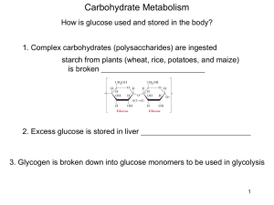 Carbohydrate Metabolism