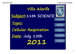 11th Grade - Class 8 - Cellular Respiration - science