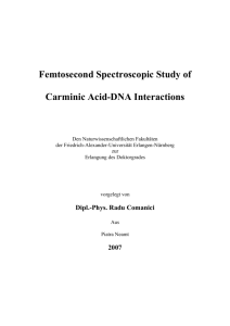 Femtosecond Spectroscopic Study of Carminic Acid-DNA