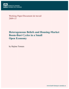 Heterogeneous Beliefs and Housing-Market Boom