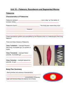 Unit 10 – Flatworm, Roundworm and Segmented Worms