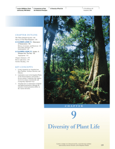 9. Diversity of Plant Life