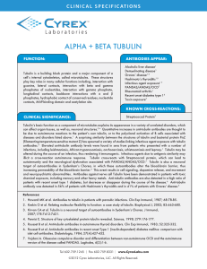 alpha + beta tubulin