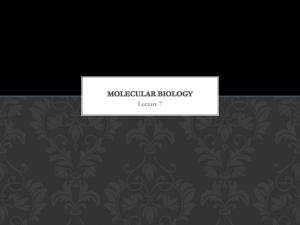 Molecular Biology lecture 7