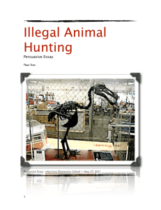 Illegal Animal Hunting