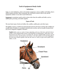 Tack & Equipment Study Guide