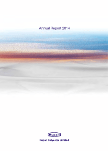 Rupali Annual Report 2014