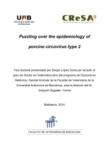 Puzzling over the epidemiology of porcine circovirus type 2