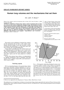 Human lung volumes and the mechanisms that set them