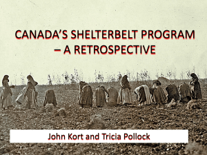 canada's shelterbelt program – a retrospective