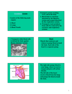 Circulatory System Consists of the following main organs: 1. Heart 2