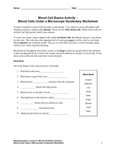Blood Cells Under a Microscope Vocabulary Worksheet