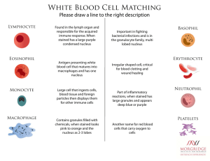 White Blood Cell Matching