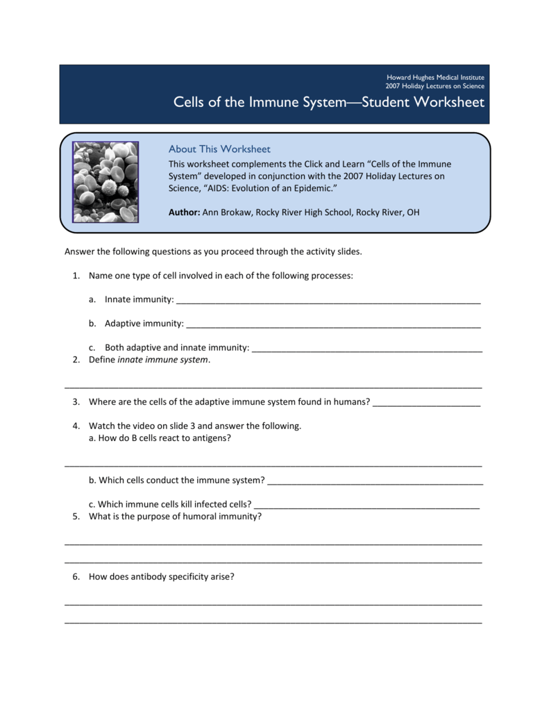 Cells Of The Immune System Student Worksheet