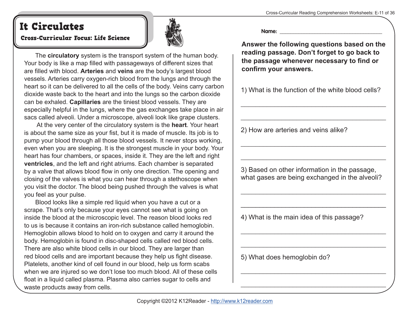 22th Grade Reading Comprehension Worksheets For Main Idea Worksheet 5