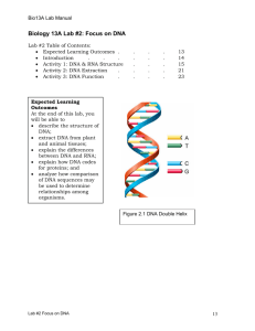 Lab #2: The Molecular Basis for Life: Genetics & Humans
