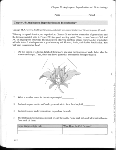 ' Chapter 38: Angiosperm Reproduction and Biotechnology Male