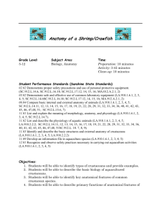 Anatomy of a Shrimp/Crawfish