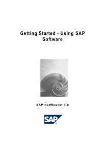 Getting Started - Using SAP Software