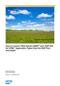 How to Launch Web Dynpro ABAP and SAP GUI for