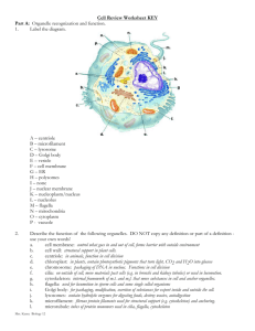 Biology 12 - The Cell – REVIEW WORKSHEET