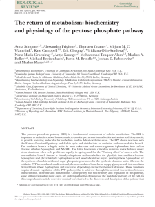biochemistry and physiology of the pentose phosphate pathway