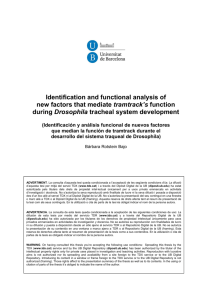 Identification and functional analysis of new factors that