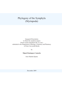 Phylogeny of the Symphyla (Myriapoda)