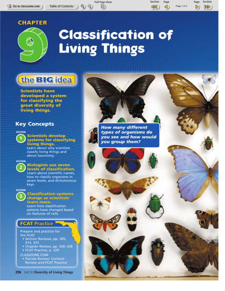 Classification Of Living Things