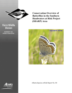 Conservation Overview of Butterflies in the Southern Headwaters at