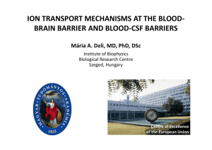 ION TRANSPORT MECHANISMS AT THE BLOOD