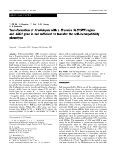 Transformation of Arabidopsis with a Brassica SLG/SRK region and
