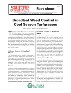 Broadleaf Weed Control in Cool Season Turfgrasses
